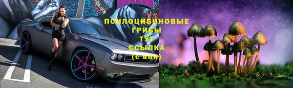 не бодяженный Верхний Тагил