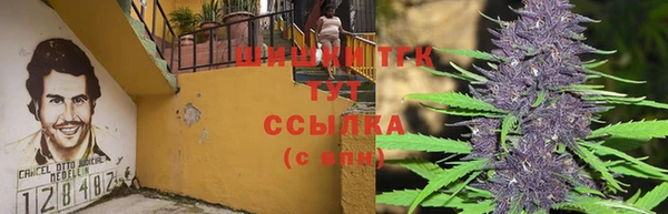 ешки Магас