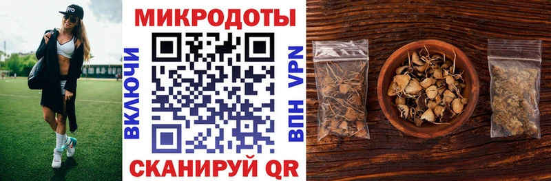 купить наркоту  Копейск  ссылка на мегу онион  Галлюциногенные грибы мухоморы 