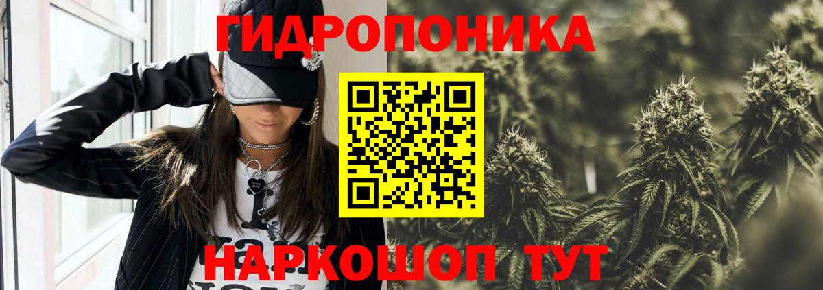 МАРИХУАНА планчик  Каннабис конопля  Копейск 